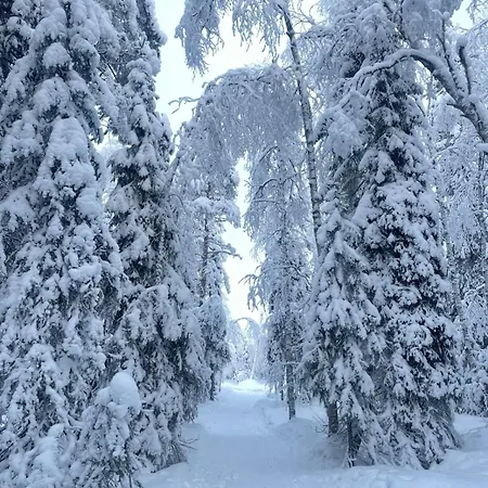 Lydia Lapland - Private Sauna & Aurora View Villa *
