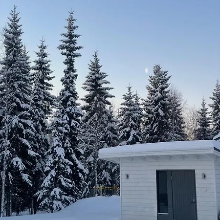 Villa Lydia Lapland - Private Sauna & Aurora View Rovaniemi