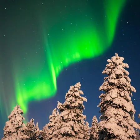 Lydia Lapland - Private Sauna & Aurora View * Rovaniemi